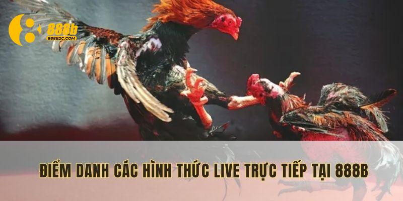 Một số thể loại live trực tiếp đá gà được phát sóng trên 888B