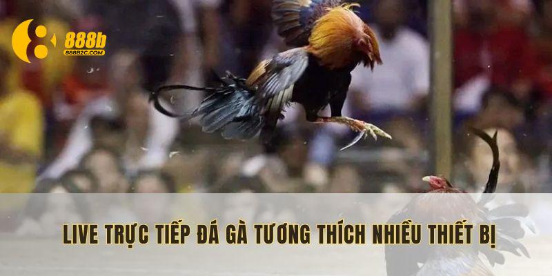 Live trực tiếp đá gà ứng dụng được trên nhiều thiết bị cả iOS và Android