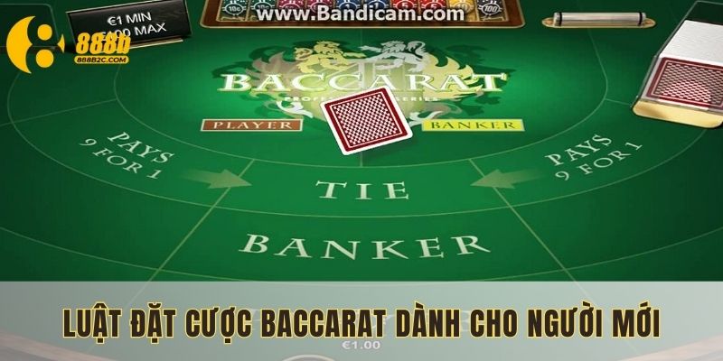 Luật đặt cược Baccarat dành cho người mới