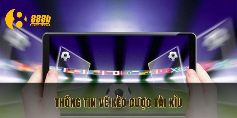 Thông tin về kèo cược tài xỉu trong bóng đá